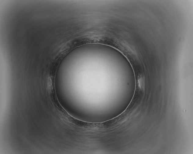 X0000113021347200909031223
