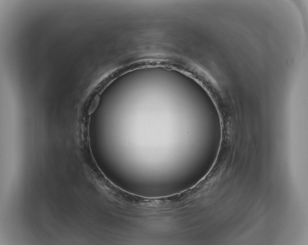 X0000113021352200909031223
