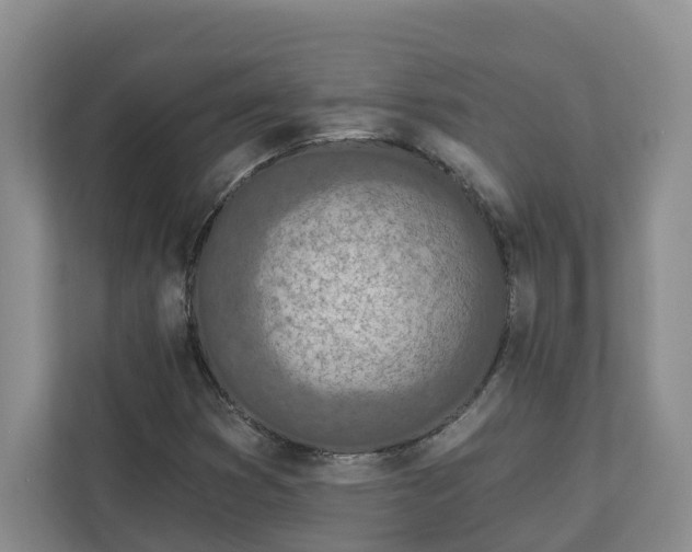 X0000113021353200909031223