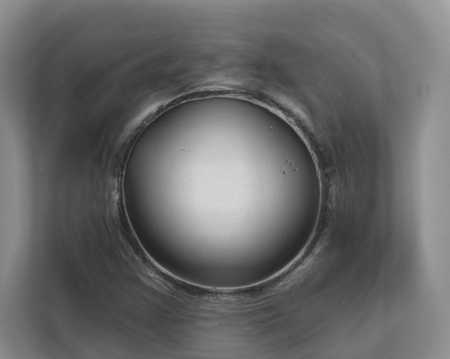 X0000113021355200909031223