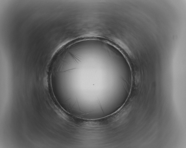 X0000113021356200909031223