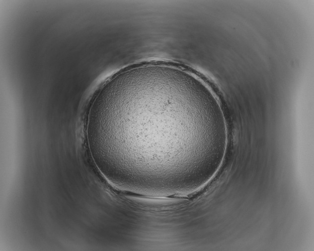 X0000113021359200909031223