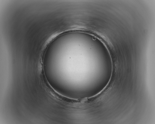 X0000113021363200909031223