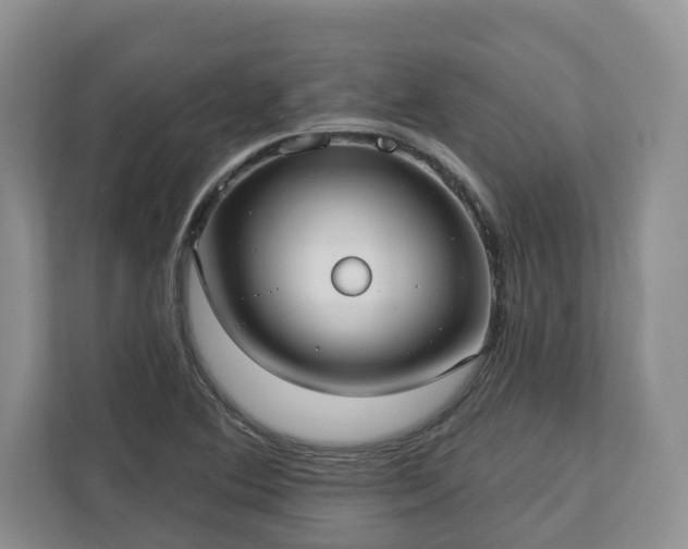 X0000113021364200909031223