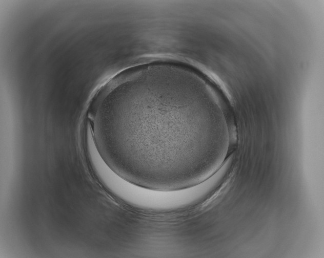 X0000113021365200909031223