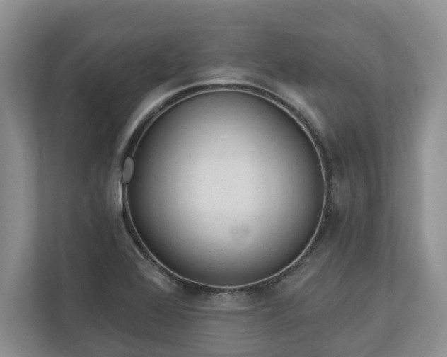 X0000113021368200909031223