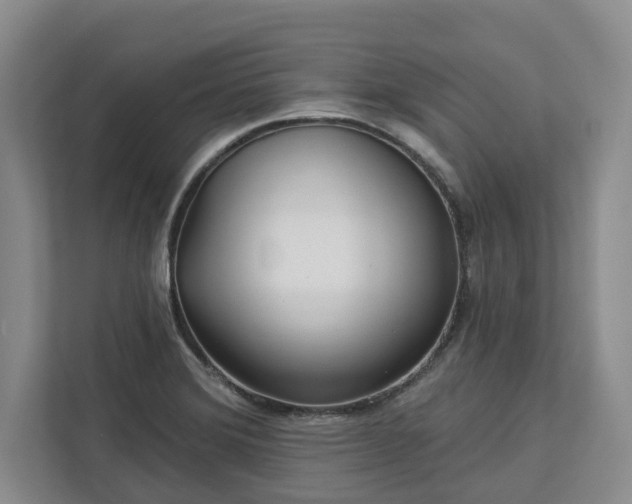 X0000113021372200909031223