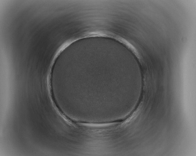 X0000113021373200909031223