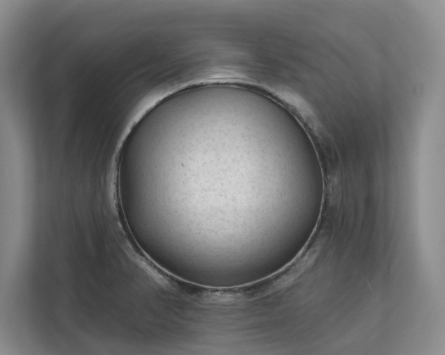 X0000113021374200909031223