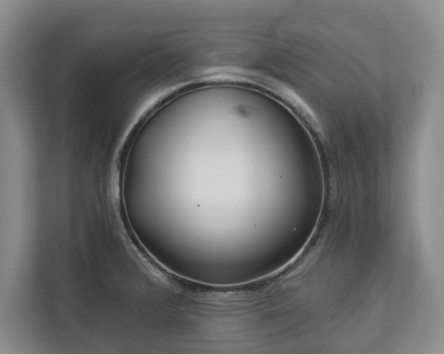 X0000113021376200909031223