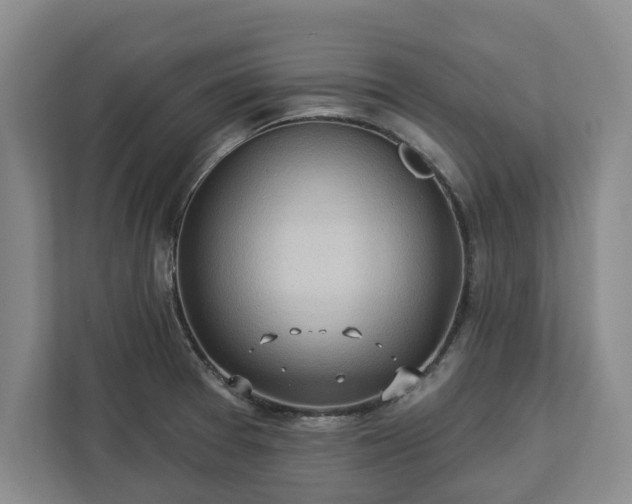 X0000113021377200909031223