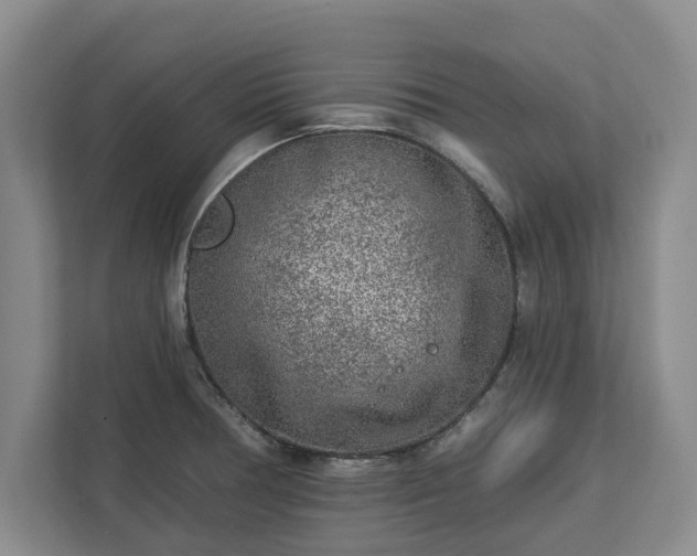 X0000113021378200909031223