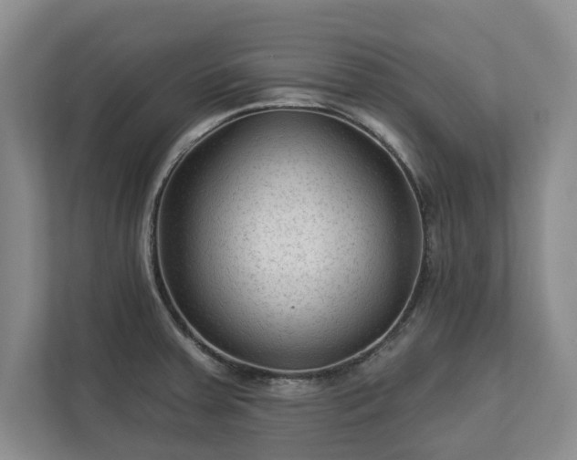 X0000113021379200909031223