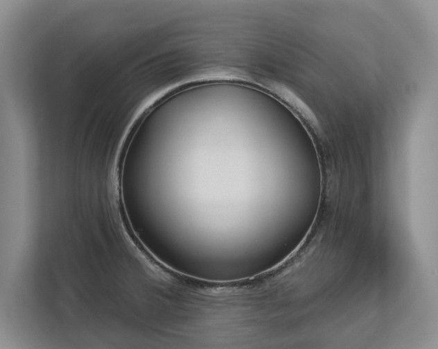 X0000113021380200909031223