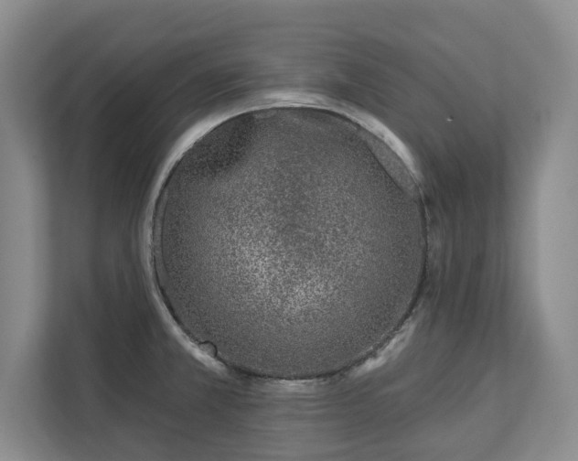 X0000113021381200909031223