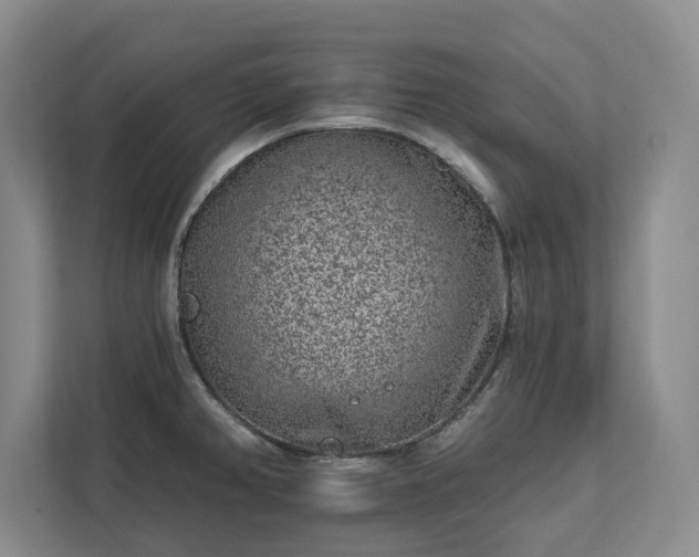 X0000113021382200909031223