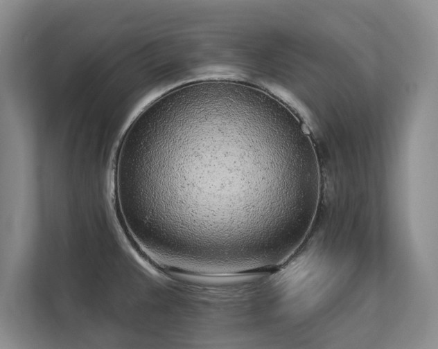 X0000113021383200909031222