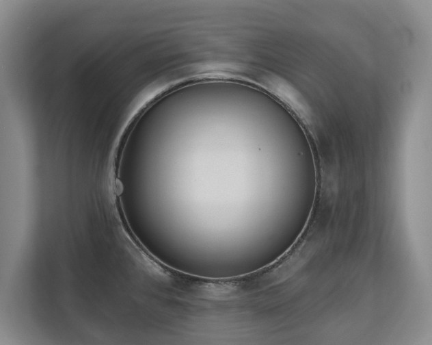 X0000113021384200909031222