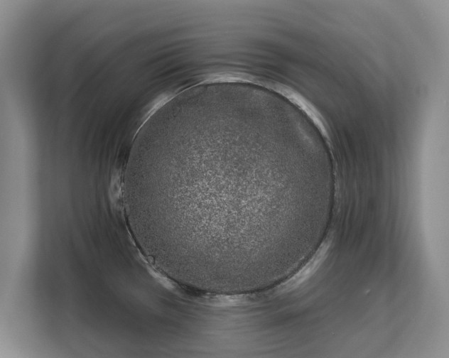 X0000113021385200909031222