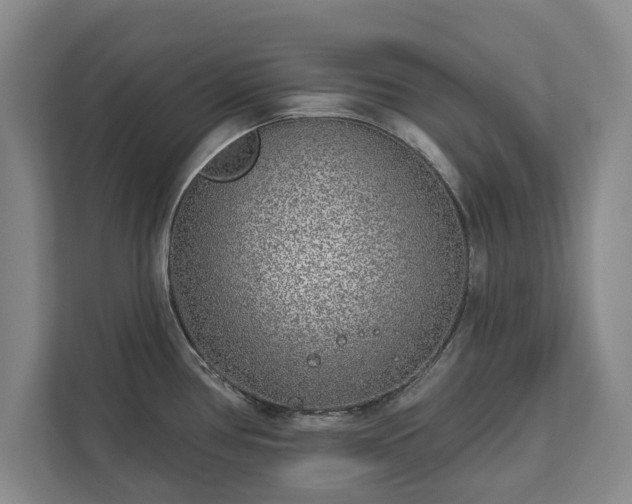 X0000113021386200909031222