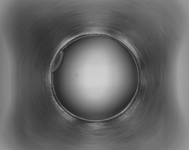 X0000113021388200909031222