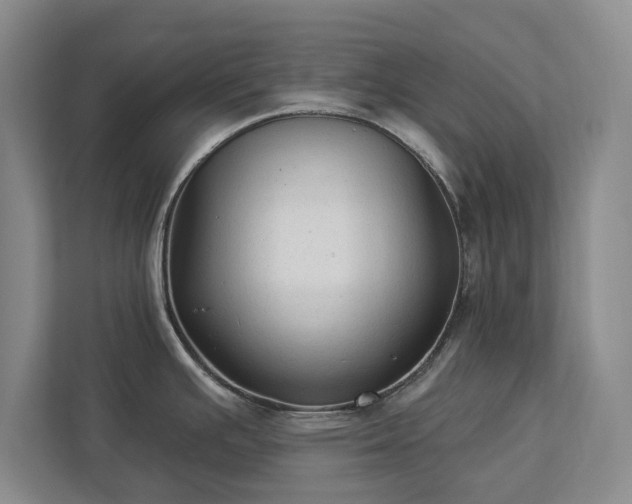 X0000113021391200909031222