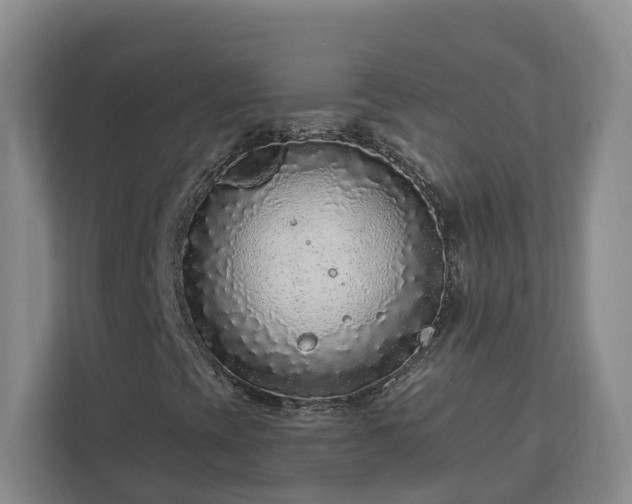 X0000113021393200909031222