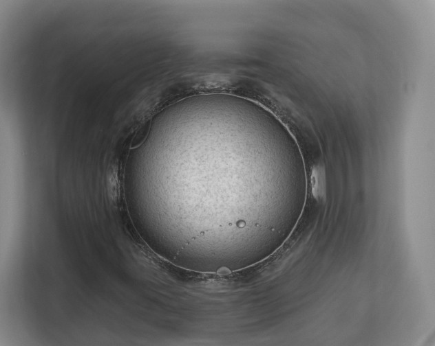 X0000113021395200909031222
