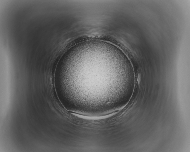 X0000113021396200909031222