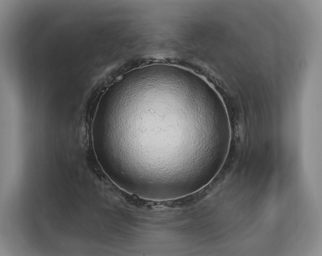 X0000113021398200909031222