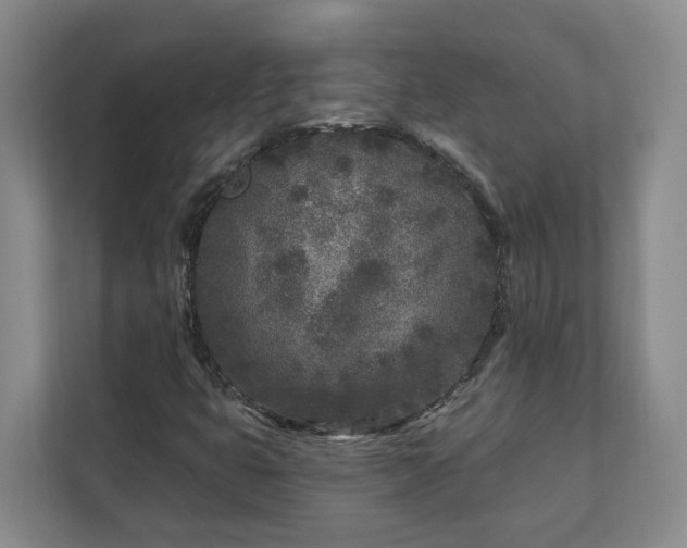 X0000113021399200909031222