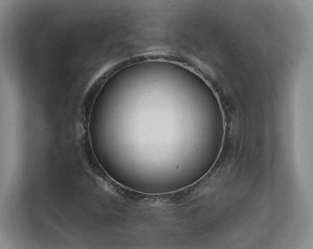 X0000113021400200909031222