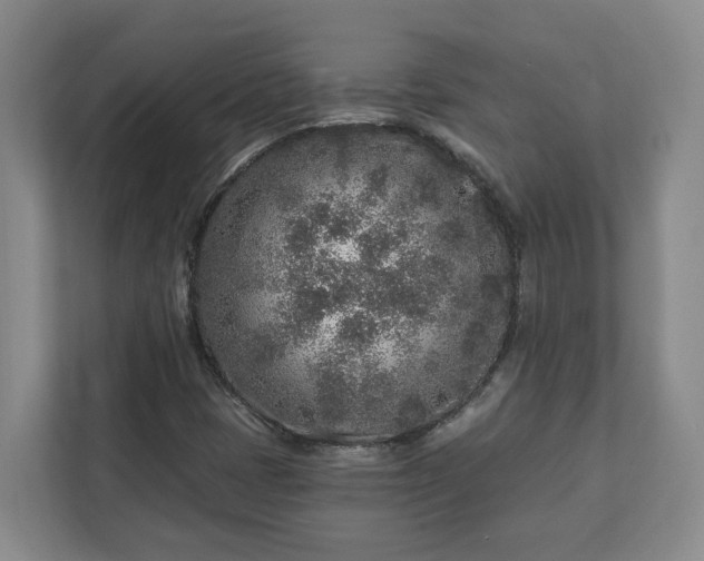 X0000113021401200909031222