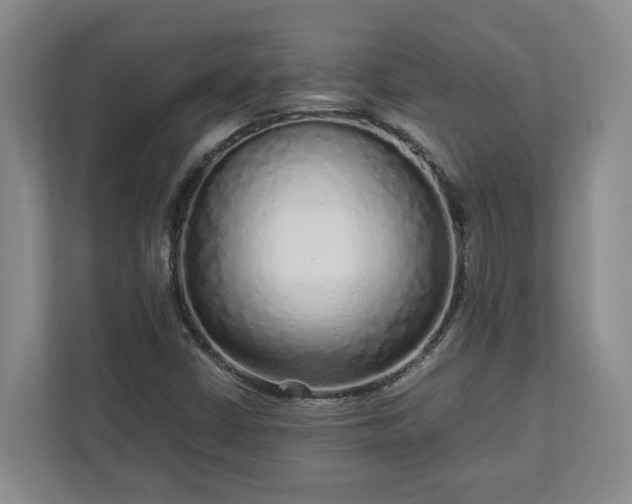 X0000113021402200909031222