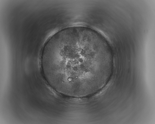 X0000113021405200909031222