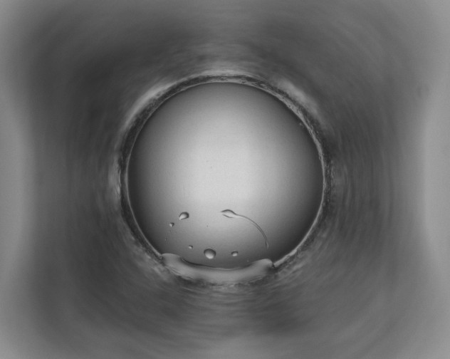X0000113021408200909031222