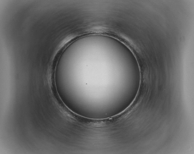X0000113021410200909031222