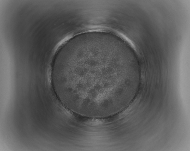 X0000113021411200909031222