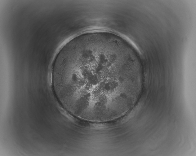 X0000113021413200909031222