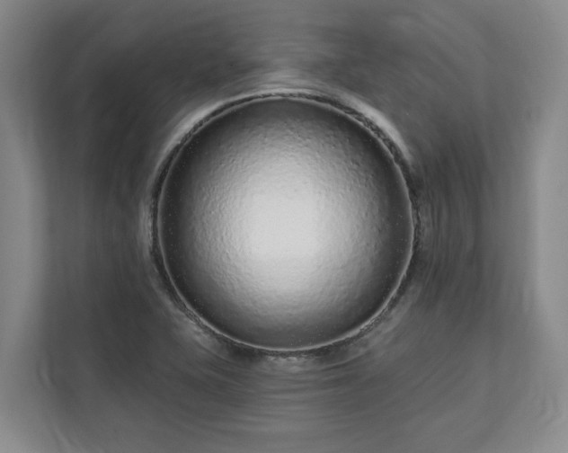 X0000113021415200909031222