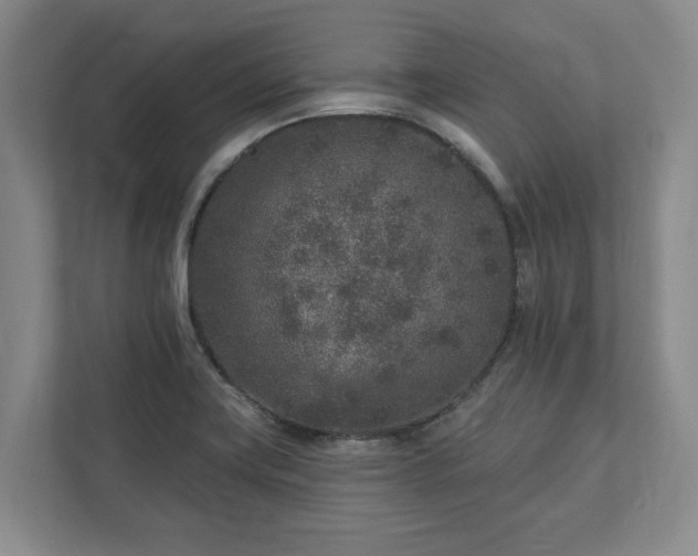 X0000113021419200909031222