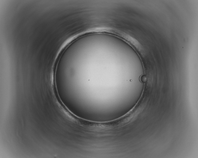 X0000113021420200909031222