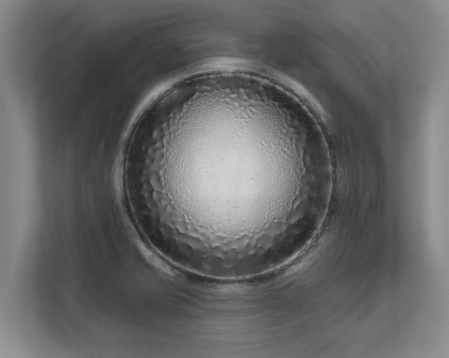 X0000113021421200909031222