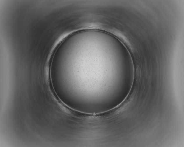 X0000113021424200909031222
