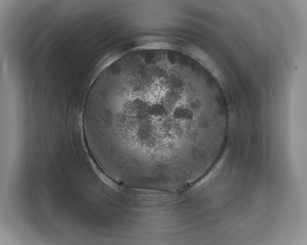X0000113021425200909031222