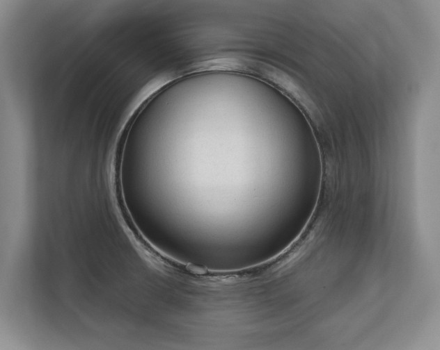 X0000113021426200909031222