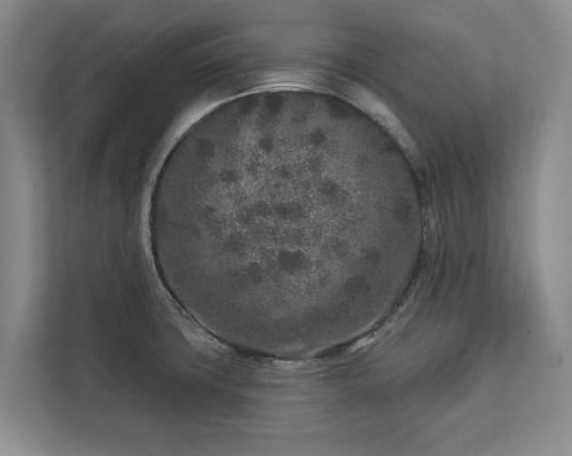X0000113021427200909031222