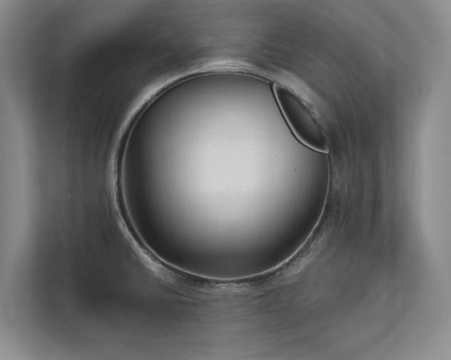 X0000113021430200909031222