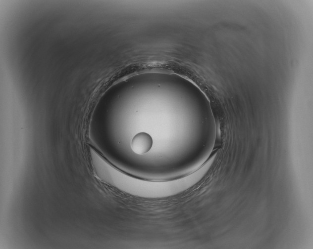 X0000113021441200909031222