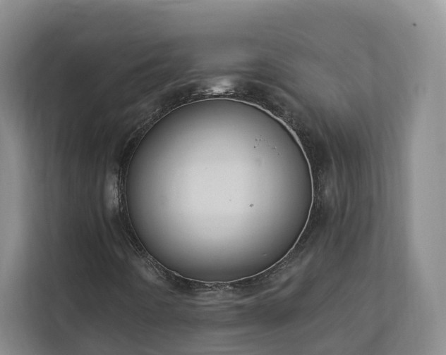 X0000113021442200909031222